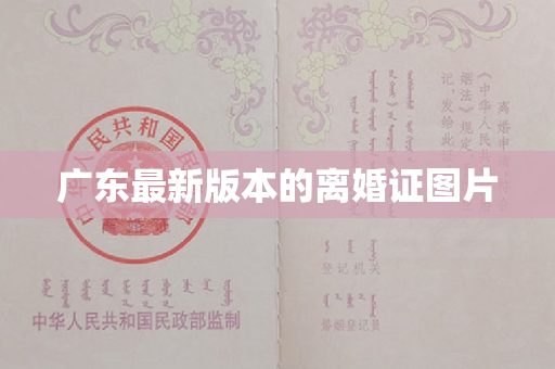 广东最新版本的离婚证图片