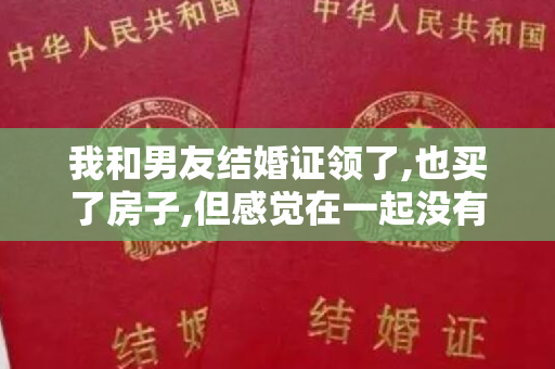 我和男友结婚证领了,也买了房子,但感觉在一起没有激情怎么办？