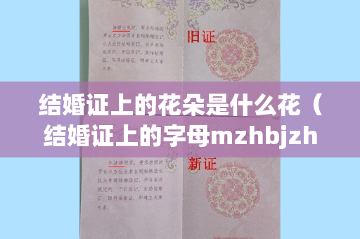 结婚证上的花朵是什么花（结婚证上的字母mzhbjzh什么意思）