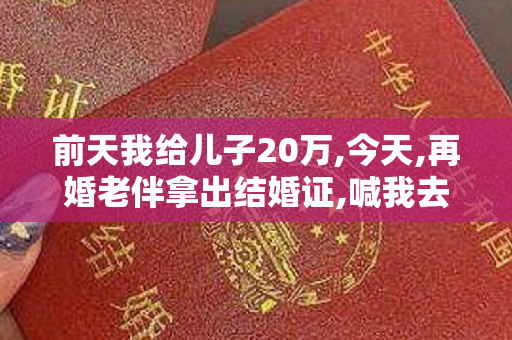 前天我给儿子20万,今天,再婚老伴拿出结婚证,喊我去民政局