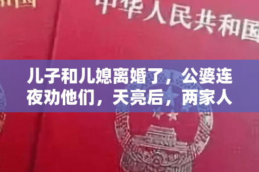 儿子和儿媳离婚了，公婆连夜劝他们，天亮后，两家人拿到了四张离婚证明