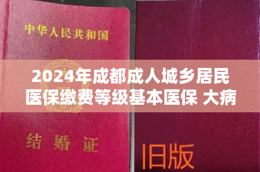 2024年成都成人城乡居民医保缴费等级基本医保 大病互助）