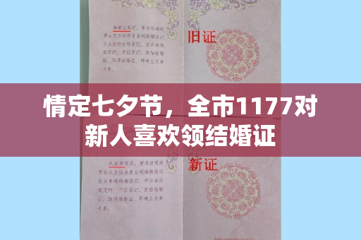 情定七夕节，全市1177对新人喜欢领结婚证