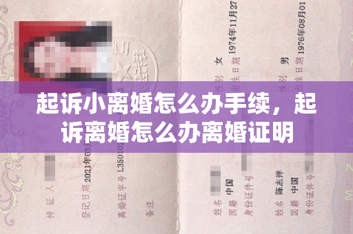 起诉小离婚怎么办手续，起诉离婚怎么办离婚证明