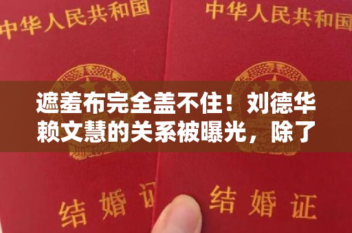 遮羞布完全盖不住！刘德华赖文慧的关系被曝光，除了结婚证什么都给了