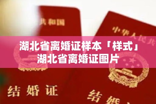 湖北省离婚证样本「样式」湖北省离婚证图片