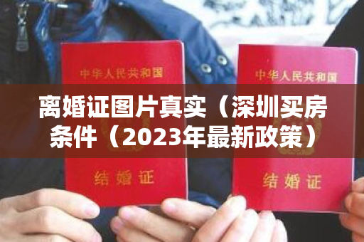 离婚证图片真实（深圳买房条件（2023年最新政策）