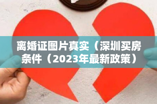 离婚证图片真实（深圳买房条件（2023年最新政策）