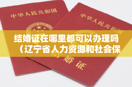 结婚证在哪里都可以办理吗（辽宁省人力资源和社会保障公共服务平台技能提升补贴申领入口）