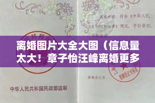 离婚图片大全大图（信息量太大！章子怡汪峰离婚更多内幕曝光，网友：离婚是早晚的事）