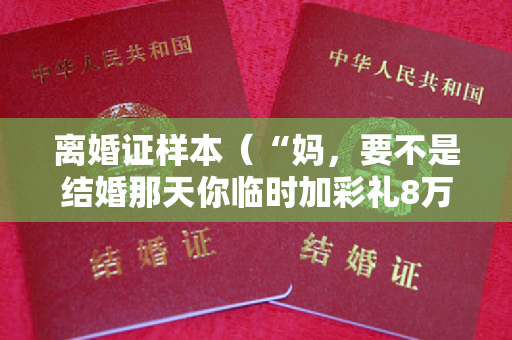 离婚证样本（“妈，要不是结婚那天你临时加彩礼8万，我能到32岁嫁不出去？”）