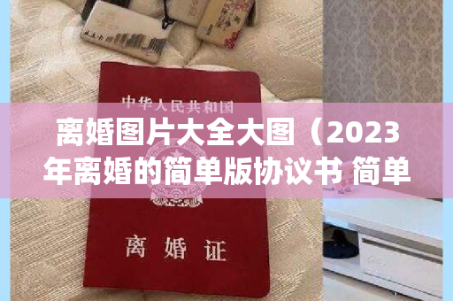 离婚图片大全大图（2023年离婚的简单版协议书 简单离婚协议书(大全20篇)