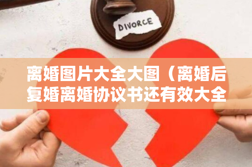 离婚图片大全大图（离婚后复婚离婚协议书还有效大全（16篇）