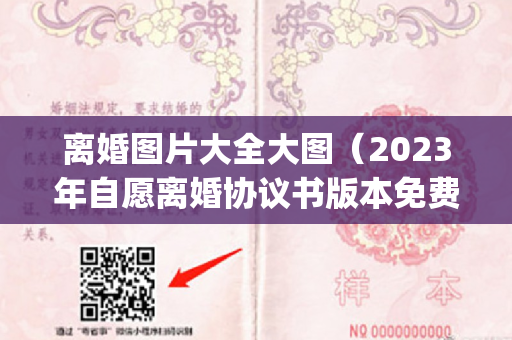 离婚图片大全大图（2023年自愿离婚协议书版本免费(大全15篇)