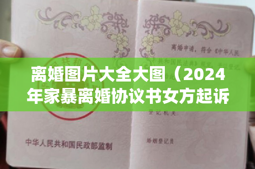 离婚图片大全大图（2024年家暴离婚协议书女方起诉(大全12篇)