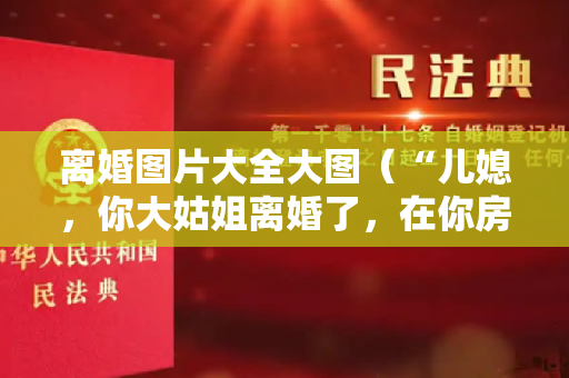 离婚图片大全大图（“儿媳，你大姑姐离婚了，在你房子住段时间咋了”“你们都滚吧”）