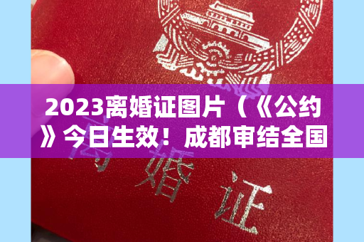 2023离婚证图片（《公约》今日生效！成都审结全国首例免除领事认证案）