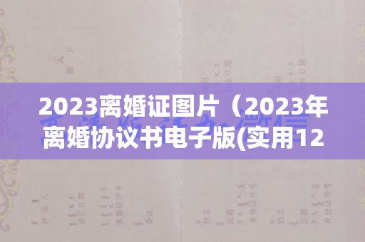 2023离婚证图片（2023年离婚协议书电子版(实用12篇)