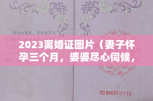 2023离婚证图片（妻子怀孕三个月，婆婆尽心伺候，她却愤然提出离婚）