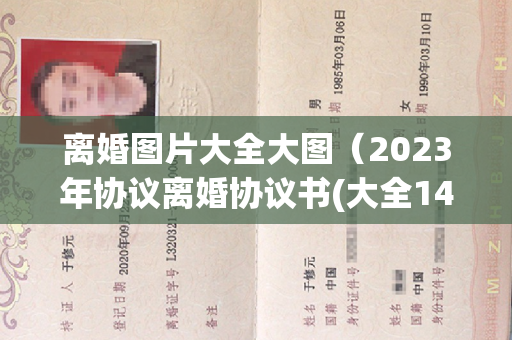 离婚图片大全大图（2023年协议离婚协议书(大全14篇)