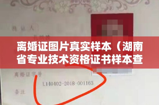 离婚证图片真实样本（湖南省专业技术资格证书样本查询官网-全新升级，轻松查询资格证书样本！）