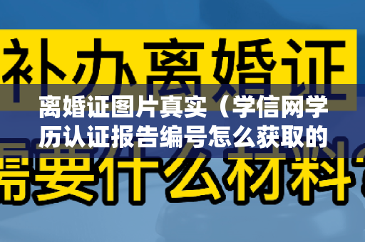 离婚证图片真实（学信网学历认证报告编号怎么获取的？）