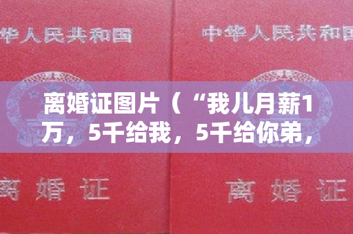 离婚证图片（“我儿月薪1万，5千给我，5千给你弟，儿媳养家”“你哪有儿媳”）