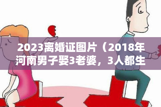 2023离婚证图片（2018年河南男子娶3老婆，3人都生娃了，男子：不该安排在同一小区）