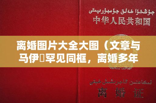 离婚图片大全大图（文章与马伊琍罕见同框，离婚多年后差距大，男方遭嘲缺了精气神）