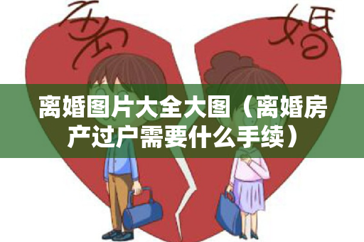 离婚图片大全大图（离婚房产过户需要什么手续）