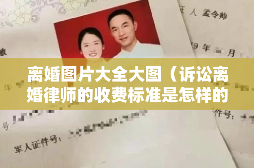 离婚图片大全大图（诉讼离婚律师的收费标准是怎样的）