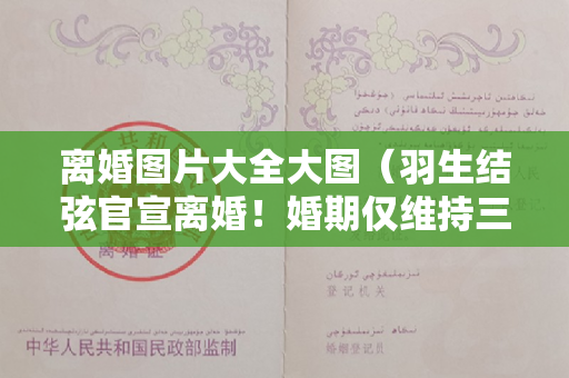 离婚图片大全大图（羽生结弦官宣离婚！婚期仅维持三个月，离婚原因曝光）