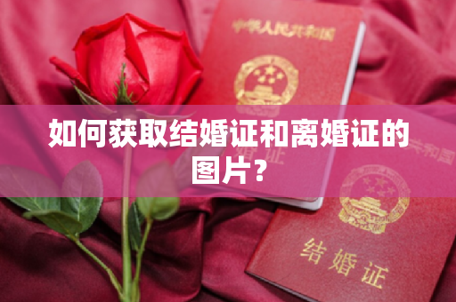 如何获取结婚证和离婚证的图片？