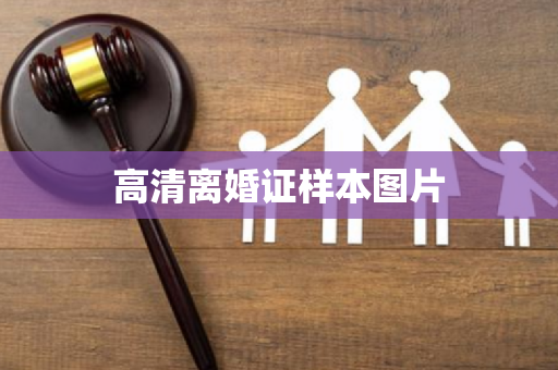 高清离婚证样本图片