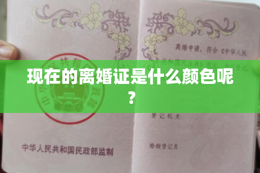 现在的离婚证是什么颜色呢？