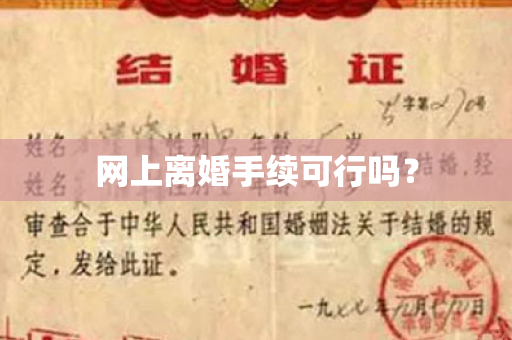 网上离婚手续可行吗？